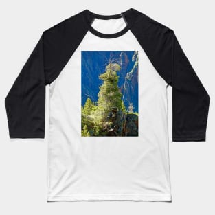 Black Canyon Tree Baseball T-Shirt